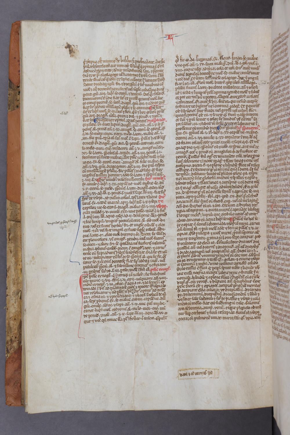 Folio 87 verso
